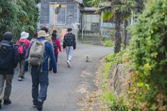 A group of tourists with backpacks walk down a rural road with a cat in front of them, approaching a weathered wooden building.