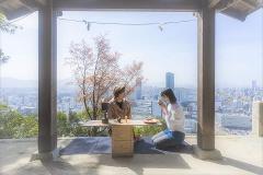 Morning Hiking Tour: Mt. Futaba & Hiroshima's History 