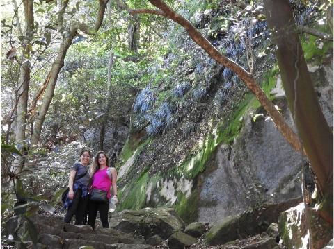 Two women stand on stone steps in a lush forest setting, with a mossy rock face and dense foliage in the background.