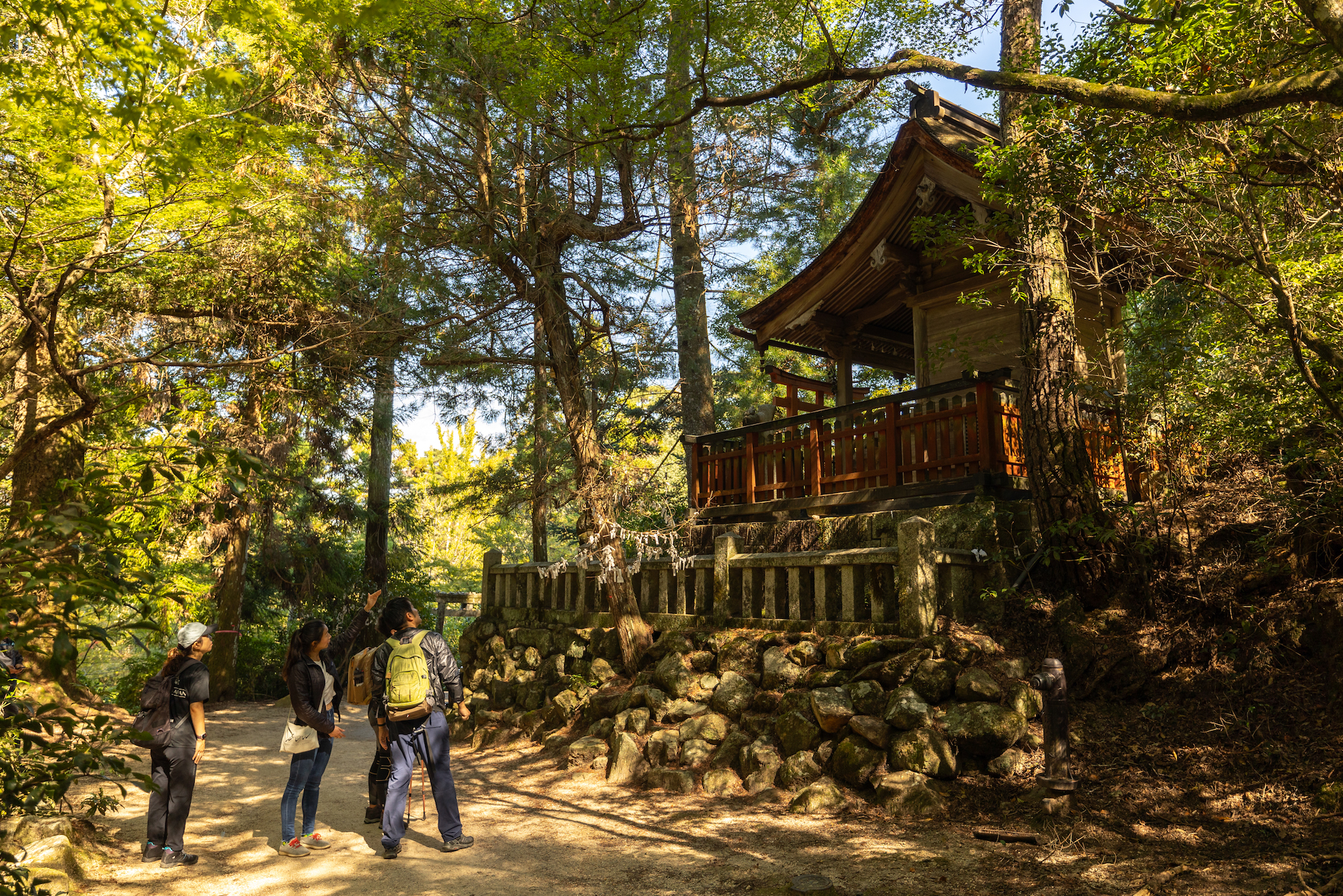 Prayer Program at Sankido Hall to Experience the Culture of Syncretism of Shinto and Buddhism and the Gomonji Practice Mastered by Kobo Daishi Kukai on Mount Misen