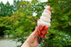A person is holding a clear plastic cup filled with a spiral of white ice cream topped with red sprinkles, with sliced strawberries and blueberries inside the cup. The background is a blurry green foliage.