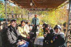 A group of people, including an elder man, are gathered under a canopy of bamboo and vines laden with tomatoes, possibly after a tour.