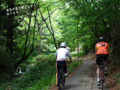 Two cyclists ride along a shaded path lined with lush green trees and foliage, with a small waterfall visible to the left.