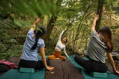 Refresh yourself by confronting nature in a mysterious land covered with primeval forests and moss. Meditation experience plan Three women practice yoga outdoors in a lush forest by a stream.