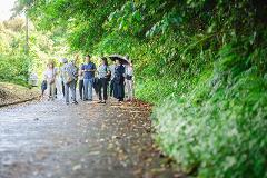 A group of people, some with umbrellas, stand on a road lined with lush greenery, possibly on a guided tour in a scenic heritage village.