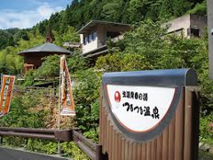 Enjoy an Authentic Ninja Experience and Natural Onsen