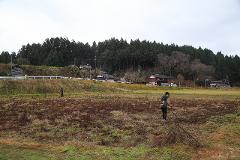 A person metal detects in a fallow field with trees and houses in the background.