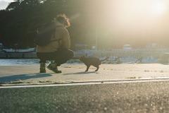 A person in outdoor gear squats down to pet a black cat on a paved surface by the water as the sun shines brightly in the background.