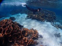 A person wearing snorkeling gear and fins swims over coral reef in clear blue water.