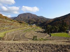 A scenic view of terraced rice paddies nestled in a valley surrounded by mountains with autumn foliage under a blue sky with scattered clouds.