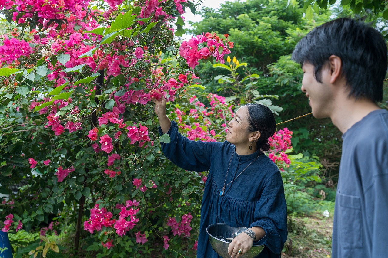 石垣島・平久保半島での集落散策＆野草摘み体験ツアー