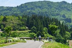 Cycling tour at the Sacred Land of Nishikigoi Two people cycle along a scenic road lined with flowers, with a lush green mountain backdrop.