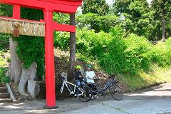 Cycling tour at the Sacred Land of Nishikigoi Two cyclists in helmets rest their electric bikes under a red torii gate surrounded by lush greenery.