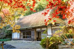 A traditional Japanese house with a thatched roof is nestled amidst vibrant autumn foliage.