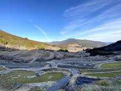 A vast landscape of terraced rice fields under a clear blue sky showcases the beauty of rural Japan.