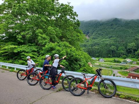 Two orange electric mountain bikes are parked on a gravel path in a forest covered with fallen leaves.