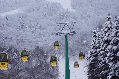 A snowy mountain landscape featuring a ski lift with yellow cars, surrounded by snow-covered trees and skiers on the slopes.