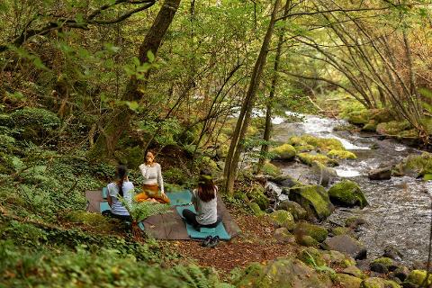Nagano Primeval Forest Mindfulness Walk – Morning Guided Tour Three women practice yoga by a mossy stream in a lush, primeval forest.