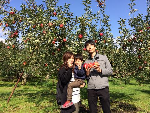A family of three poses in an apple orchard with red apples on the trees.
