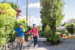 A man and woman wearing helmets and casual clothes stroll down a tree-lined road pushing e-bikes in Ogimi Village, Japan.
