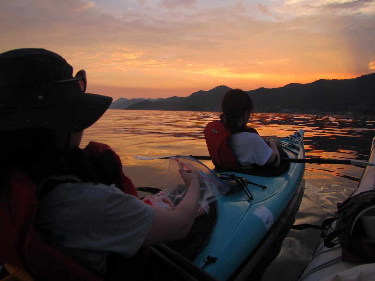 Summer Night Sea Kayak: Witness the Enchantment of Glowing Sea Fireflies!