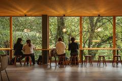 Discover the Art of Yamanaka Lacquerware & Experience the Ultimate Hospitality of the Tea Ceremony Four people sit at a long wooden table facing a lush forest through large windows.