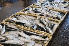 Rows of fresh fish are displayed in plastic crates, packed with ice, at a market.
