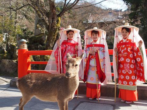Three young women in traditional Japanese clothing stand with a deer near a red railing, possibly at a shrine or temple.