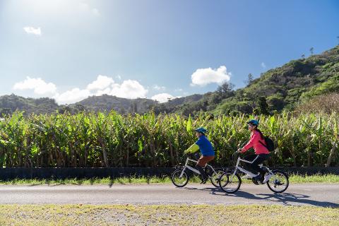 Two people are riding Panasonic electric bikes on a paved road next to a lush banana plantation and green hills under a bright, sunny sky.