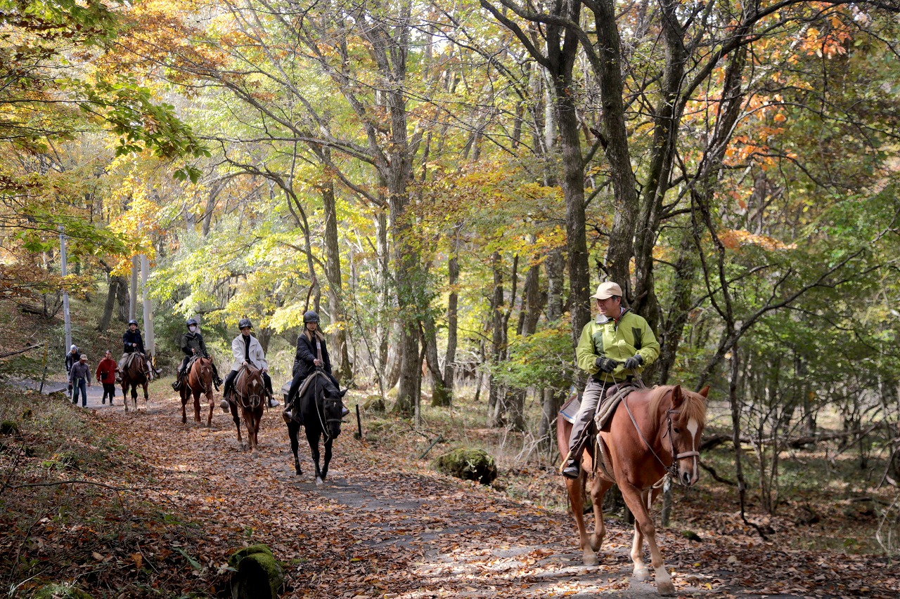 Horse riding takes you through the mountain forest on the shore of Shirakaba Lake, reminding you of the way we lived in harmony with nature for over 10,000 years.