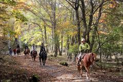 Horse riding takes you through the mountain forest on the shore of Shirakaba Lake, reminding you of the way we lived in harmony with nature for over 10,000 years.