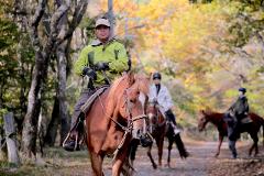 Horse riding takes you through the mountain forest on the shore of Shirakaba Lake, reminding you of the way we lived in harmony with nature for over 10,000 years. A man in a green jacket rides a brown horse through a forest with autumn foliage.