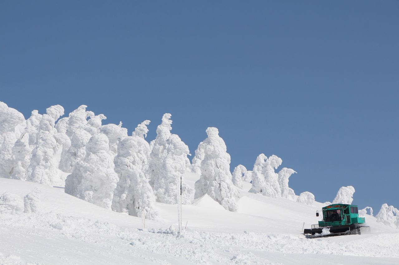 Explore Miyagi's Magnificant Frost Covered Tree Forest by Snow Car