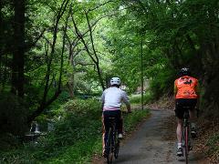Two cyclists ride down a paved path through a lush green forest, one wearing a white shirt and the other a bright orange vest.