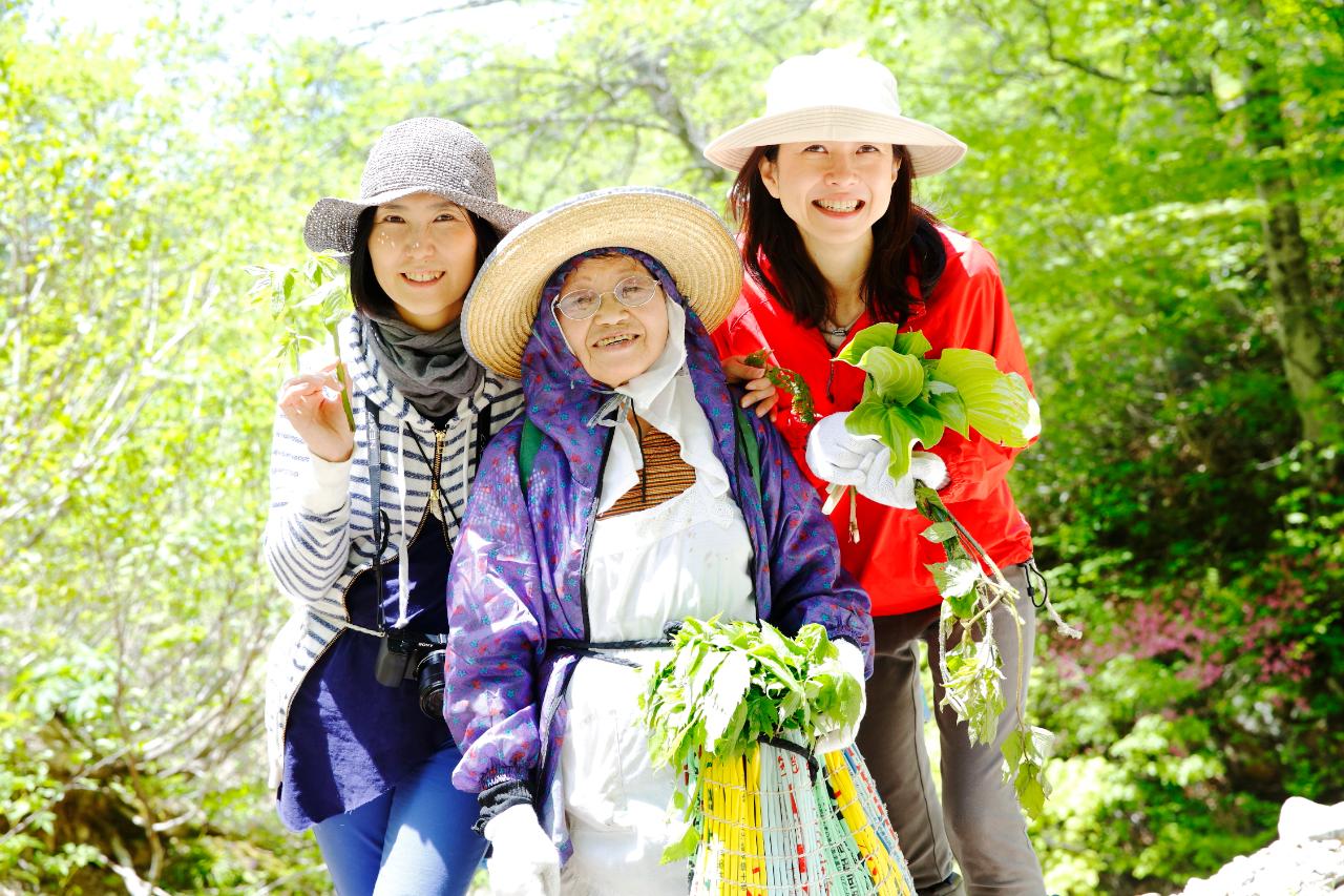 秘境・利賀村での山菜採りと郷土料理体験