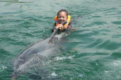 Swim with Dolphins in Kagawa!