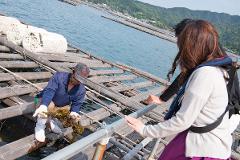 牡蠣の養殖職人&一流シェフから学び、広島牡蠣の魅力を堪能するガストロノミーツアー