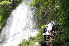 A group of people hike up a rocky path next to a cascading waterfall, surrounded by lush green foliage.