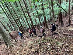 Four hikers walk down a wooded trail in Shiobara, Japan, surrounded by tall trees and rocky terrain.