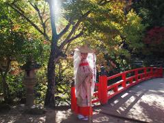 A woman in traditional Japanese attire stands on a red bridge in a lush, sun-dappled forest, illuminated by a bright sunbeam.