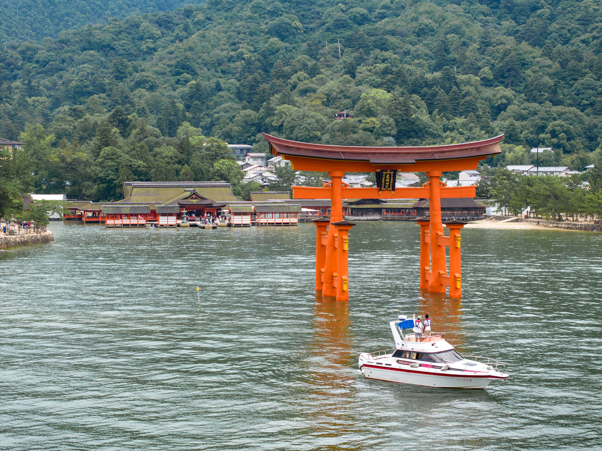 宮浜発！クルーザーで行く神の宿る島・宮島を一周する七浦巡り体験
