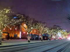 A snow-covered street is lined with trees adorned with Christmas lights and a building displaying holiday decorations, with buses parked along the side.
