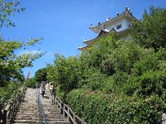 A white Japanese castle tower sits atop a lush green hill, with a stone staircase leading up to it and a few people walking down.