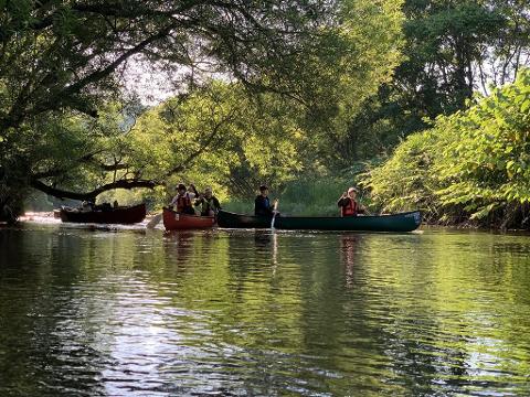 A group of people are canoeing down a tree-lined river on a sunny day.