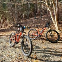Two orange electric mountain bikes are parked on a gravel path in a forest covered with fallen leaves.