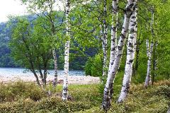 Refreshing Hike Around Yuno Lake: Revel in the Essence of Nikko's Nature and History