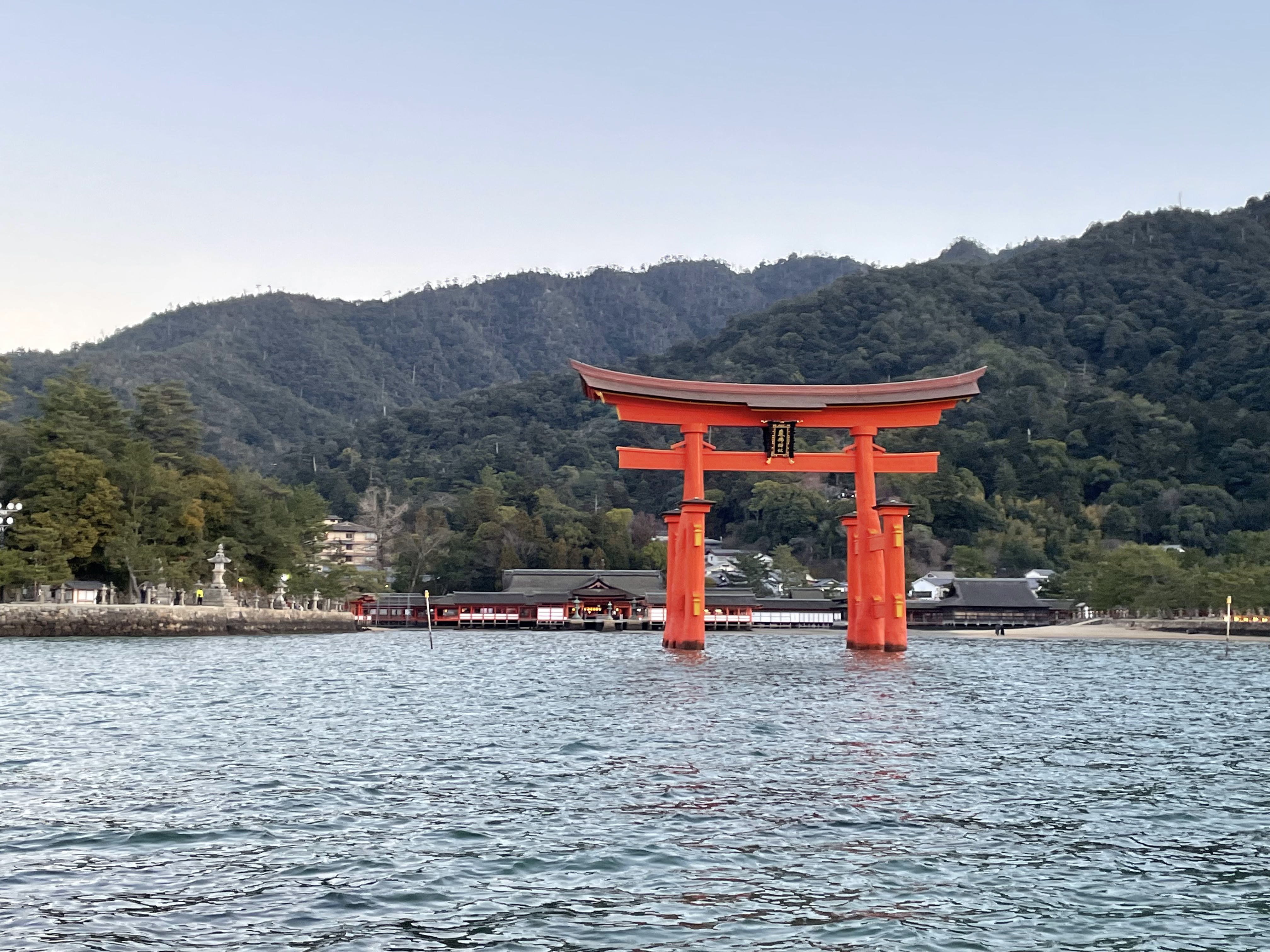 Close-Up 30 Min one-way Cruise from Miyahama Onsen to Miyajima: Close-up view of the Shrine Gate & Oyster Rafts 