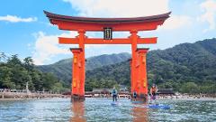 Special SUP tour conquering two World Heritage sites from the water in a single day