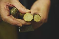 A close-up shot shows a person's hands holding two small pieces of wood, one with bark still attached and the other with a clean cut, above a metal chisel.