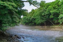 A serene river flows through a lush, green forest with mist rising from the water.